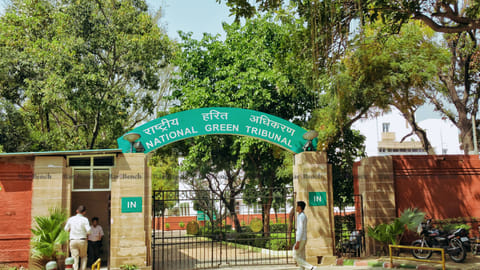 NGT National Green Tribunal