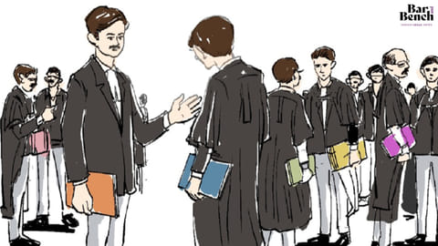 Lawyers