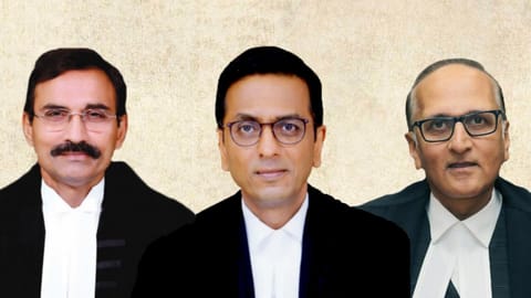 Justices DY Chandrachud, L Nageswara Rao and Ravindra Bhat