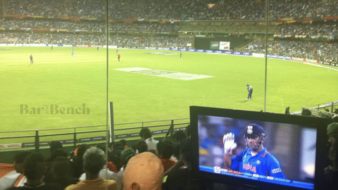 Cricket