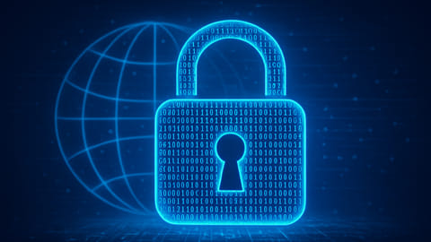 Data Privacy and The Internet