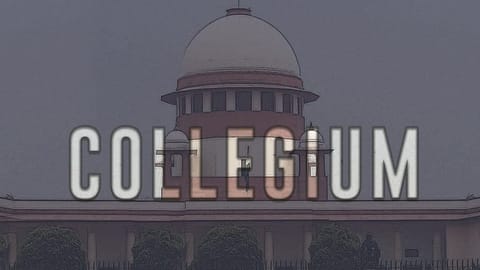 Collegium recommends two advocates for elevation to Madhya Pradesh High Court
