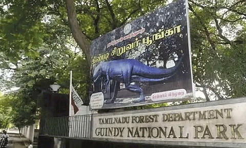 பறவைக் காய்ச்சல்: கிண்டி சிறுவர் பூங்கா மூடல்.! சுகாதாரத்துறை முக்கிய அறிவுறுத்தல்