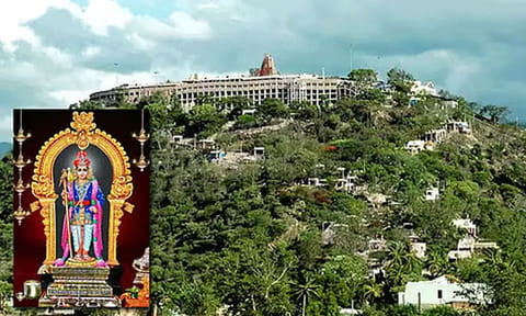பழனி முருகன் கோவிலில் உண்டியல் காணிக்கை மூலம் ரூ.3.56 கோடி வருவாய்