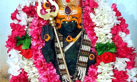 சிறப்பு அலங்காரத்தில் காலபைரவர். (இடம்: கோப்பணம்பாளையம் பரமேஸ்வரர் ஆலயம்)