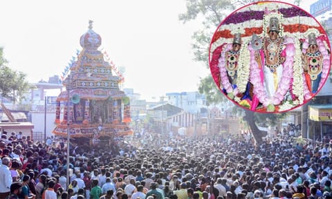 பழனியில் நடைபெற்ற பங்குனி உத்திர தேரோட்டம்