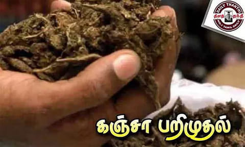 ரெயில் நிலையங்களில் ஒரே நாளில் 36 கிலோ கஞ்சா பறிமுதல்