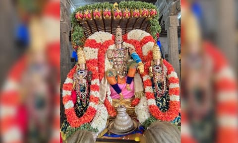சேஷ வாகன சேவை
