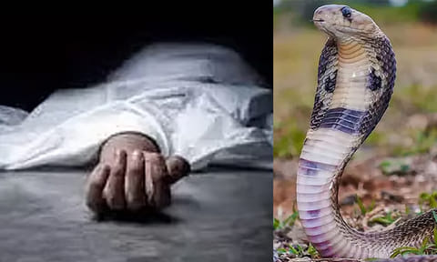 செருப்பில் பதுங்கிய பாம்பு கடித்து 4 வயது சிறுவன் உயிரிழப்பு