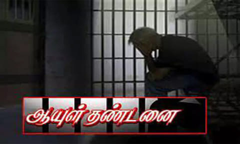 பாட்டியை கொன்ற பேரனுக்கு ஆயுள் தண்டனை: சென்னை கோர்ட்டு தீர்ப்பு