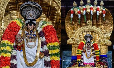 சேஷ வாகன சேவை