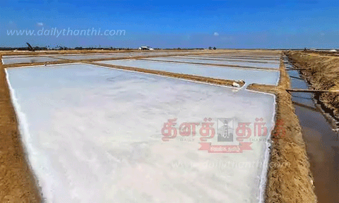 வேதாரண்யத்தில் பலத்த மழையால் உப்பு உற்பத்தி பாதிப்பு