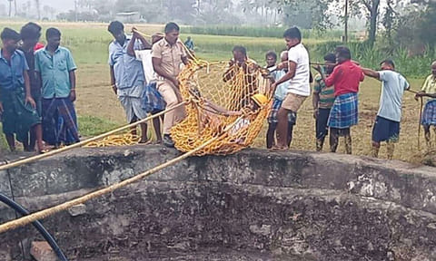 திருவண்ணாமலையில் கிணற்றில் விழுந்து இரவு முழுவதும் உயிருக்கு போராடிய தொழிலாளி மீட்பு!