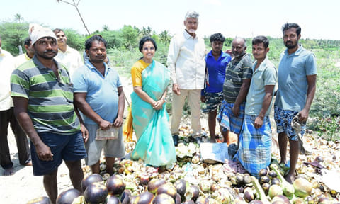 பனை நுங்கை ருசித்து சாப்பிட்ட சந்திரபாபு நாயுடு