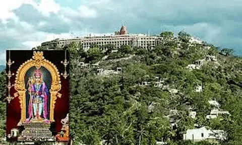 பழனி முருகன் கோவில் வைகாசி விசாக திருவிழா
கொடியேற்றத்துடன் நாளை தொடங்குகிறது