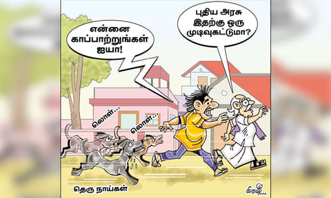புதிய அரசு, தெரு நாய் தொல்லைக்கு முடிவு கட்டுமா?