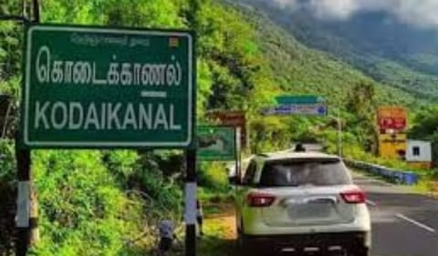 கொடைக்கானலில் வனத்துறைக்கு சொந்தமான இடங்களை இலவசமாக பார்வையிட அனுமதி
