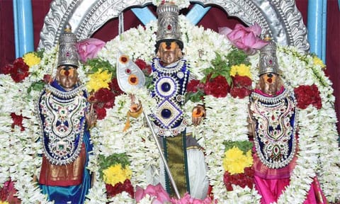 பழனி முருகன்
