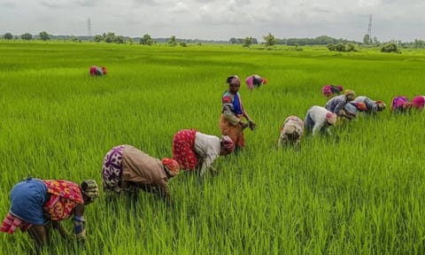 விவசாயிகள்