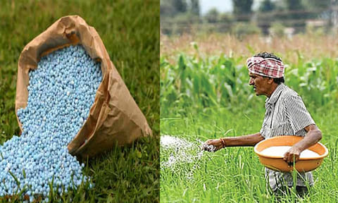 மேற்காசிய போர் தாக்கம்: தமிழ்நாட்டில் உரங்களின் விலை திடீர் உயர்வு