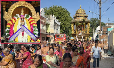 ஆழ்வார்திருநகரி ஆதிநாதர் ஆழ்வார் கோவில், வைகாசி திருவிழா, ஆழ்வார்திருநகரி தேரோட்டம்