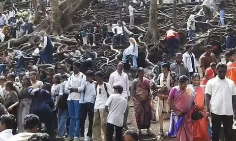கொடைக்கானல்