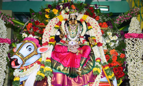 சோழவந்தான் ஜெனகை மாரியம்மன் கோவில் திருவிழா