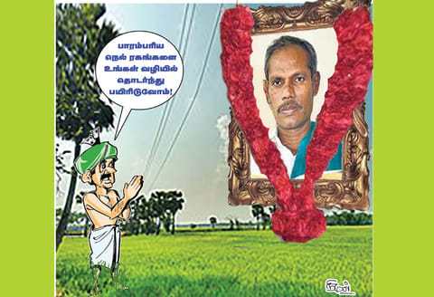 பாரம்பரிய நெல் விதைகள்