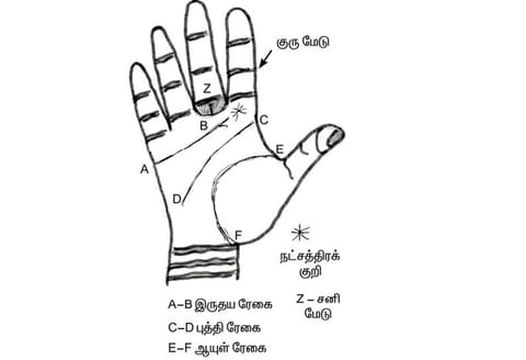 கைரேகை அற்புதங்கள் : நன் மக்கட்பேறு யாருக்கு?