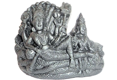 மகிழ்ச்சி தரும் சாளக்கிராமம்