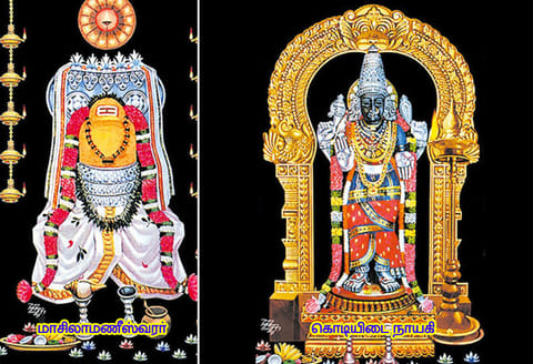 சந்தனக்காப்பு ஏற்கும் மாசிலாமணீஸ்வரர்