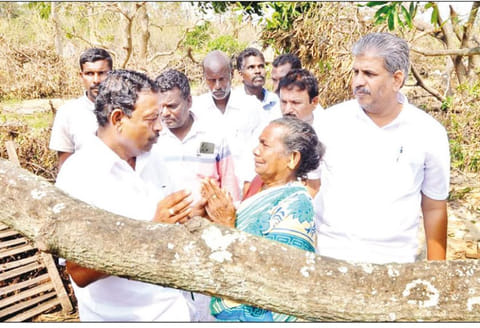 தலைஞாயிறு பகுதியில் புயலால் பாதிக்கப்பட்ட இடங்களை அமைச்சர் பார்வையிட்டார்