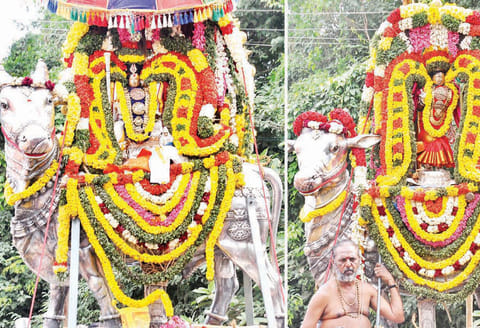 திருவிடைமருதூர் மகாலிங்க சுவாமி கோவிலில் தைப்பூச பெருவிழாவையொட்டி காவிரி ஆற்றில் தீர்த்தவாரி