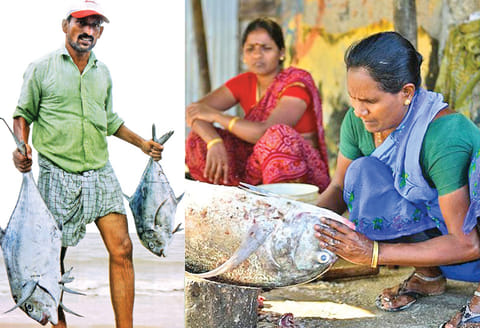 மீன்: ஆரோக்கியமும்.. ஆபத்தும்..