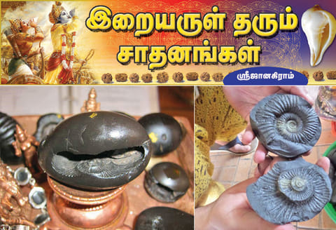 நற்பலன்களை நாளும் தரும் சாளக்கிராமம்