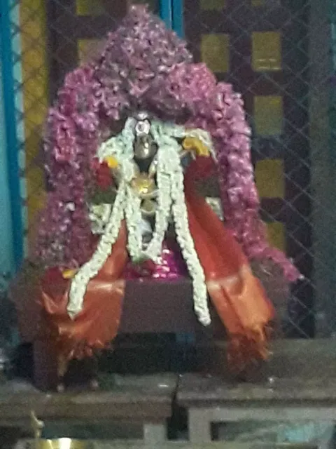 திருஞானசம்பந்தர் ஐக்கிய ஜோதி விழா
