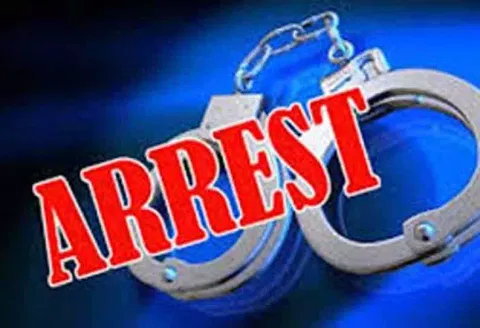 கிரிக்கெட் சூதாட்டம்; 2 பேர் கைது
