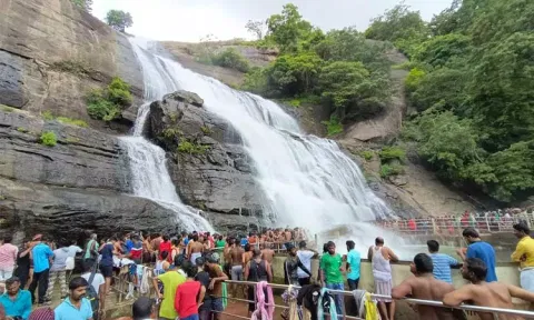 குற்றாலம் மெயின் அருவியில் 5 நாட்களுக்கு பிறகு குளிக்க அனுமதி - சுற்றுலா பயணிகள் மகிழ்ச்சி