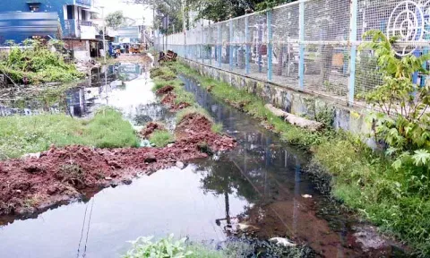 திருச்சி மாநகரில் பராமரிப்பு இல்லாத நடைபாதை பூங்கா உடற்பயிற்சி கூடம்
