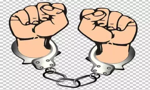 புகையிலை பாக்கெட்டுகள் பறிமுதல்; பெண் உள்பட 2 பேர் கைது
