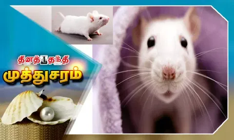 எலிகள் உயிர்வாழ குறைந்த ஆக்சிஜன் போதும்..!