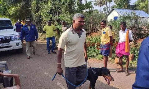 கூலித்தொழிலாளி வீட்டில் 2 பெட்ரோல் குண்டு வீச்சு...! ஈரோட்டில் பரபரப்பு