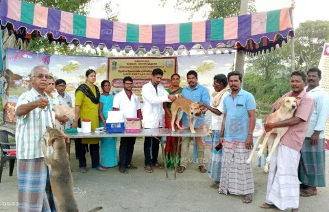 வெறிநோய் தடுப்பூசி முகாம்