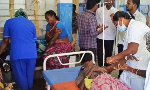 தேனீக்கள் கொட்டியதில் 20 பெண்கள் காயம்