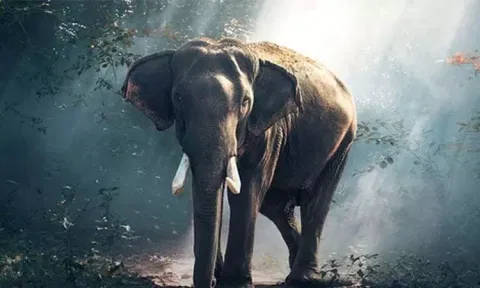 கோப்புப்படம்