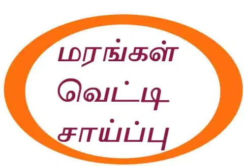 சந்தனம், செம்மரங்கள் வெட்டி சாய்ப்பு
