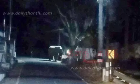 சாலையில் உலா வந்த காட்டு யானை