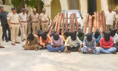 செம்மரக் கடத்தல்: தமிழகத்தைச் சேர்ந்த 10 பேர் உட்பட 13 பேர் கைது