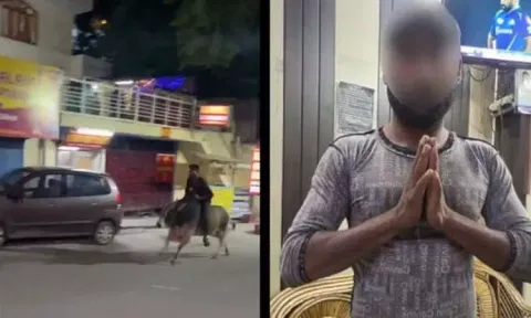 மதுபோதையில் காளை மீது ஏறி சவாரி செய்த நபர் - எச்சரித்த அனுப்பிய போலீசார்...!