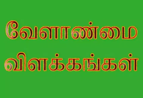 பயிர்களின் மகசூலை அதிகரிக்க செய்யும் பசுந்தாள் உரங்கள்